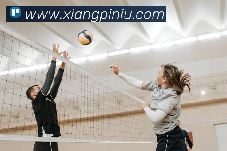 App Interface Preview