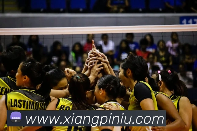 趣体育app官方网站APP 封面图